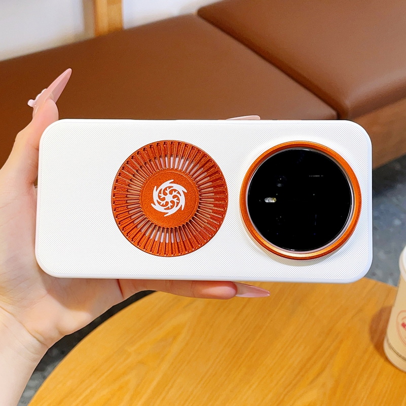 Magnetische Graphen-Kühlhülle  – Camera Leather Case Bewertung und Preis